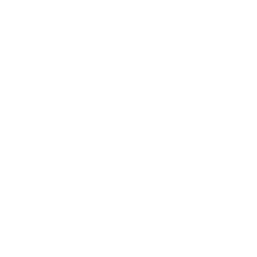 logo WOLVES